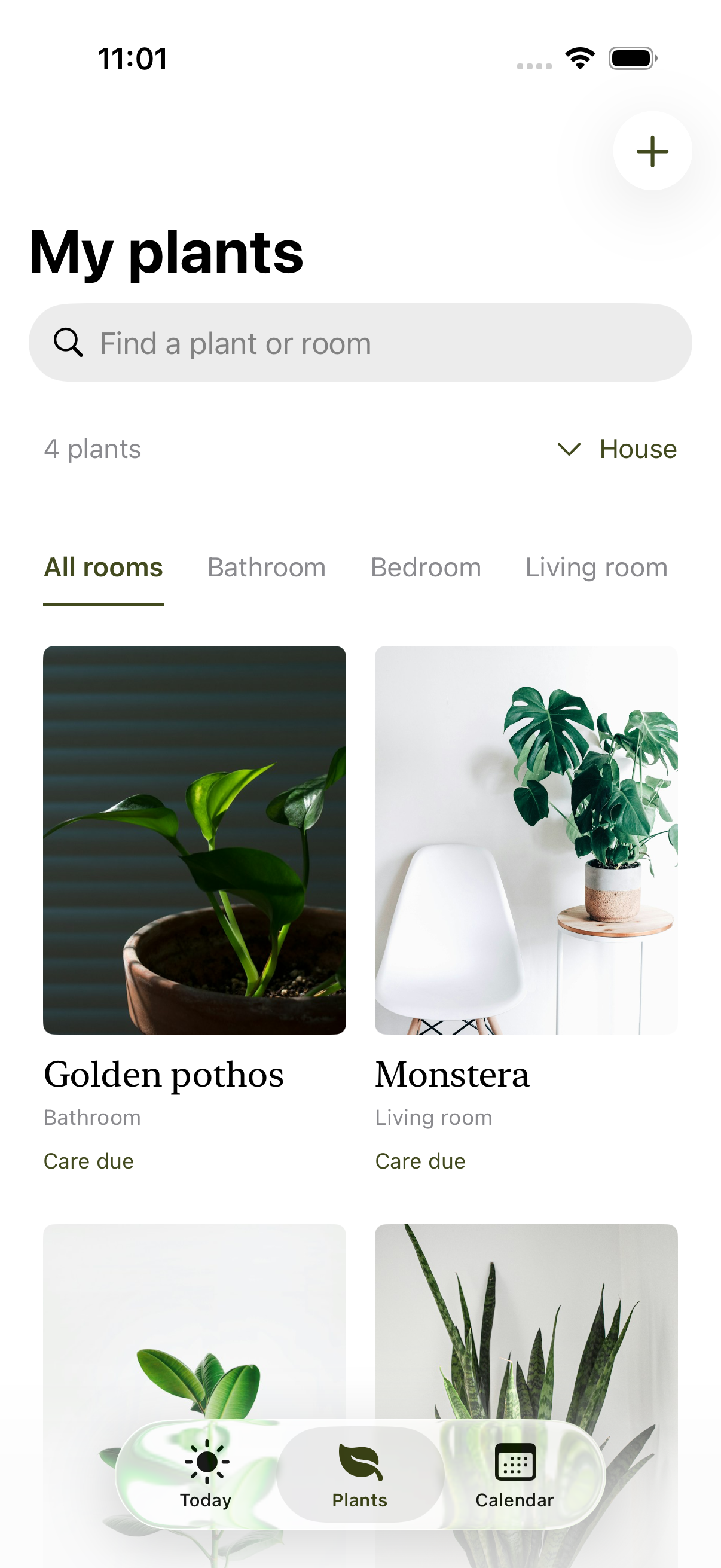 Stillroom sample collection of houseplants organised by room